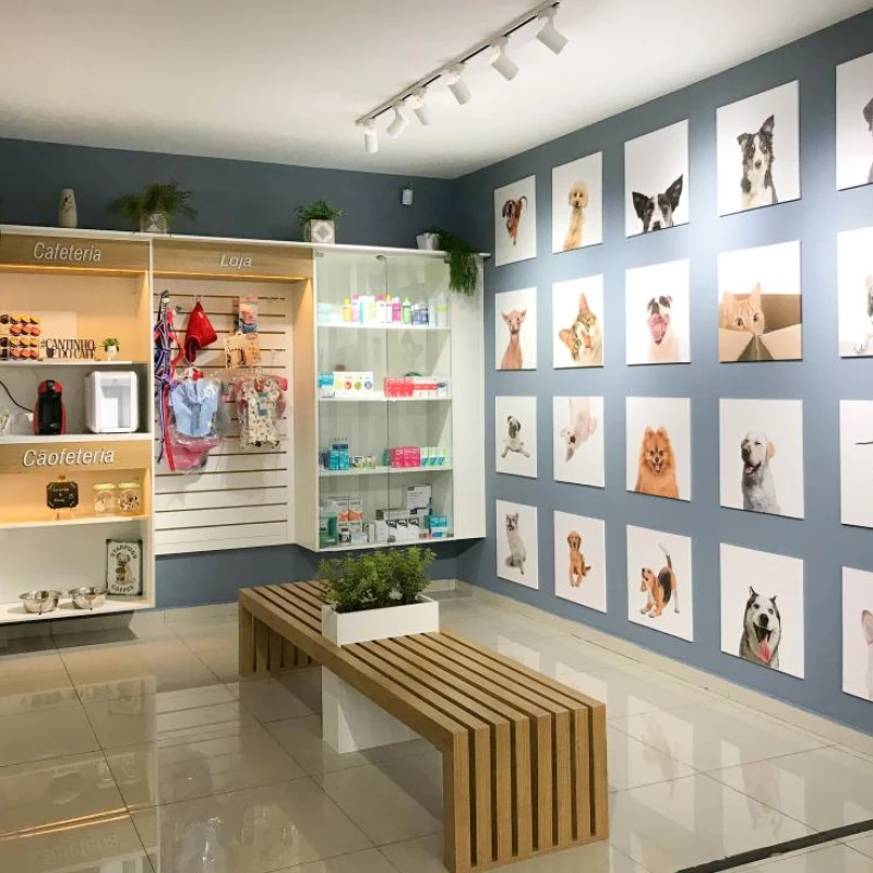 Alergologia Veterinária