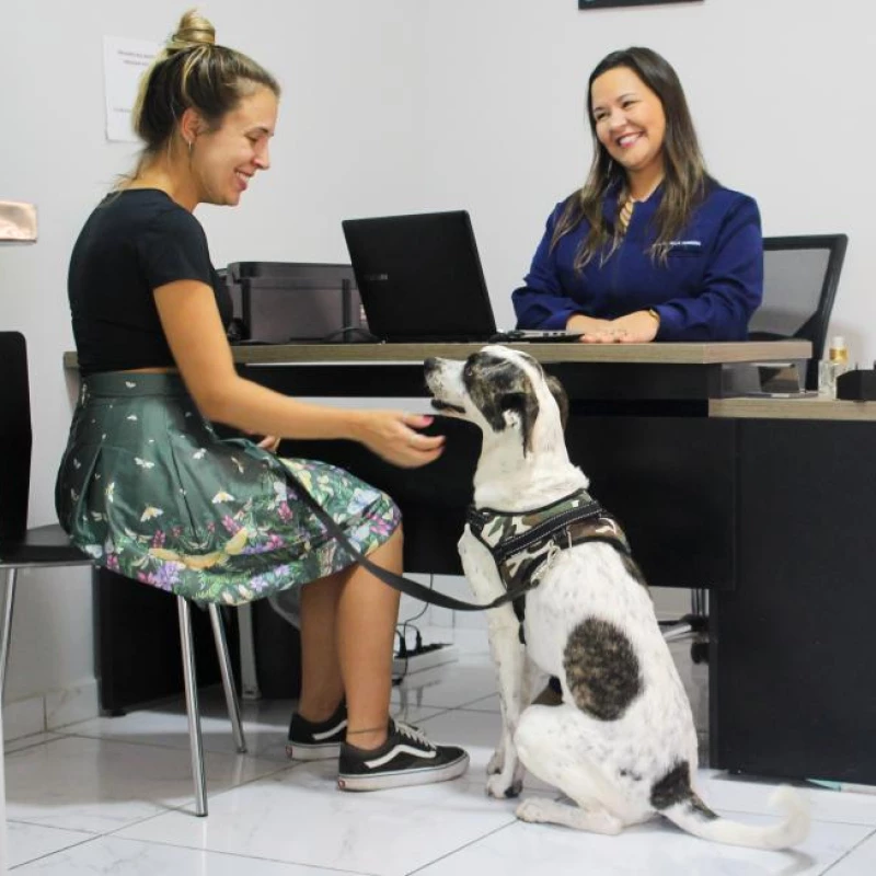 Acupuntura para Cães e Gatos