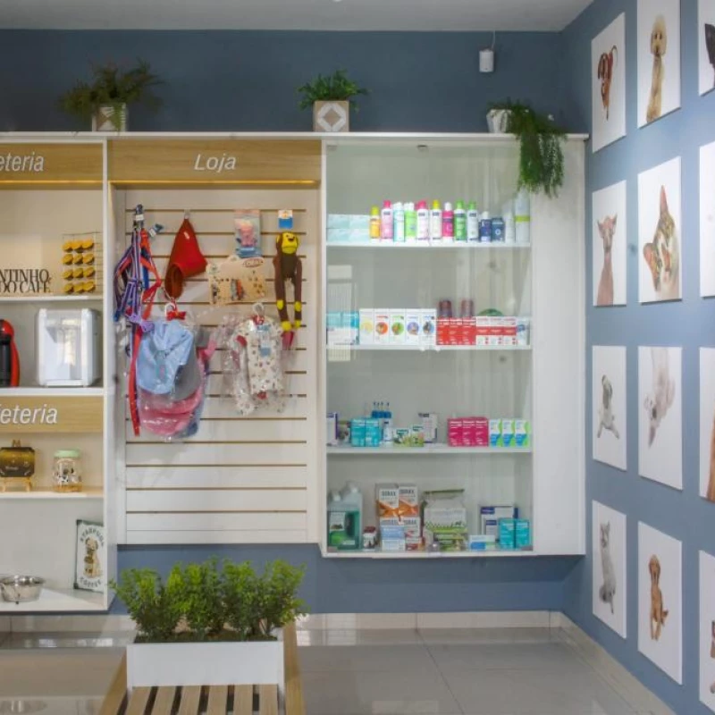 Oftalmologia Veterinária