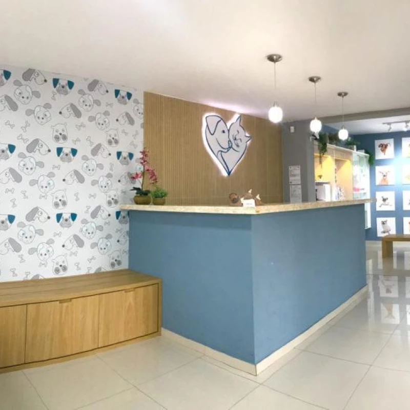 Cirurgia Veterinária