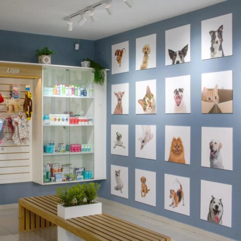 Cardiologia Veterinária