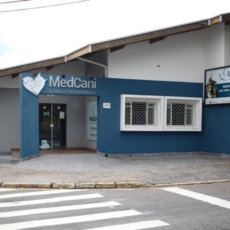 Vacinação de Cães e Gatos
