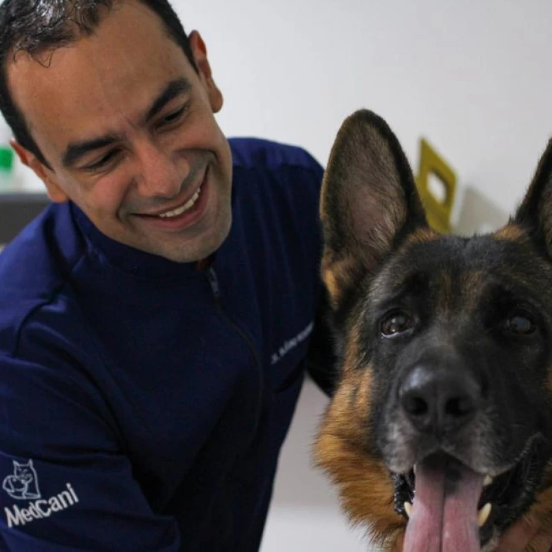 Ozonioterapia Veterinária