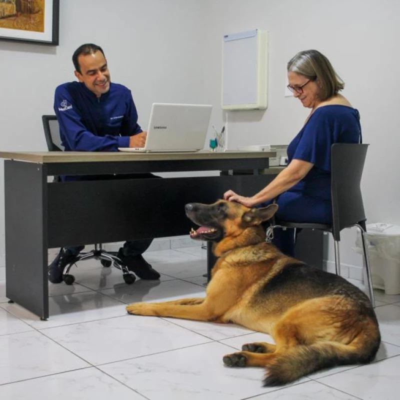 Tratamento Periodontal em Cães e Gatos