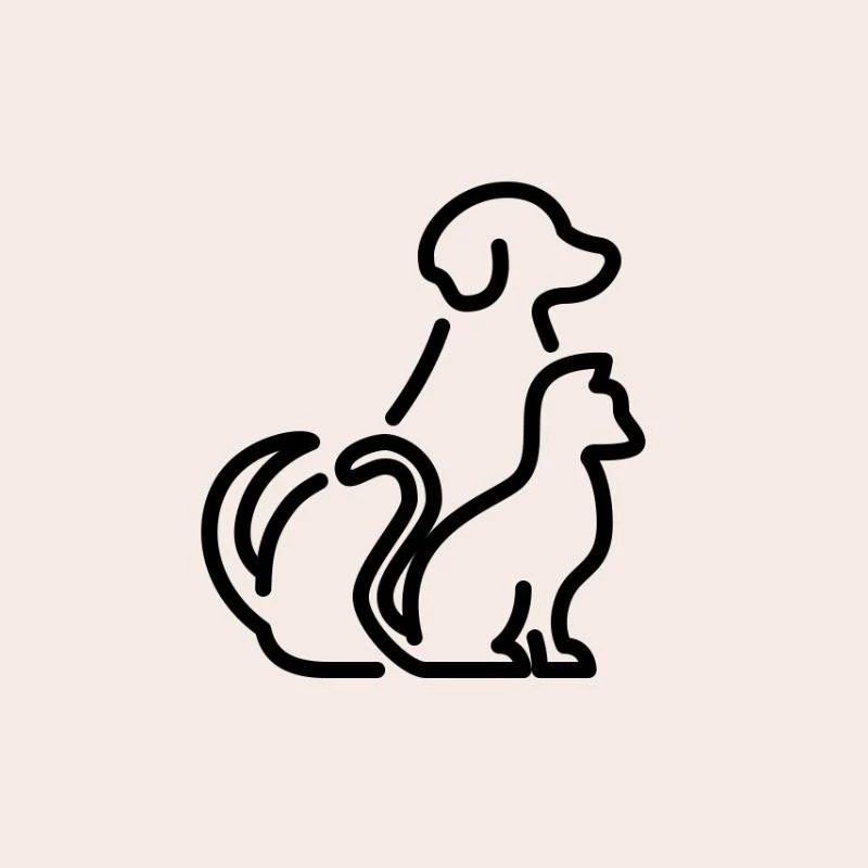  Consulta Veterinária Clínica Geral
