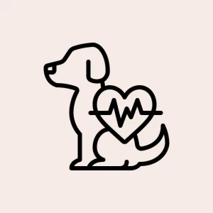 Ecocardiograma Veterinário