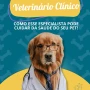 Foto 1:  MedCani Clinica Veterinária