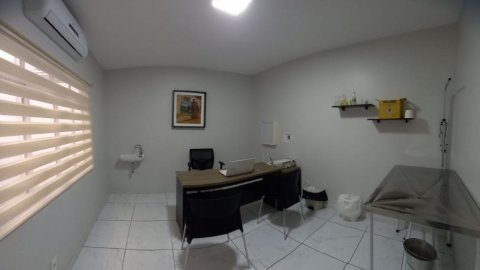 Vermifugação de cães e gatos em Taubaté: frequência, sinais e cuidados
