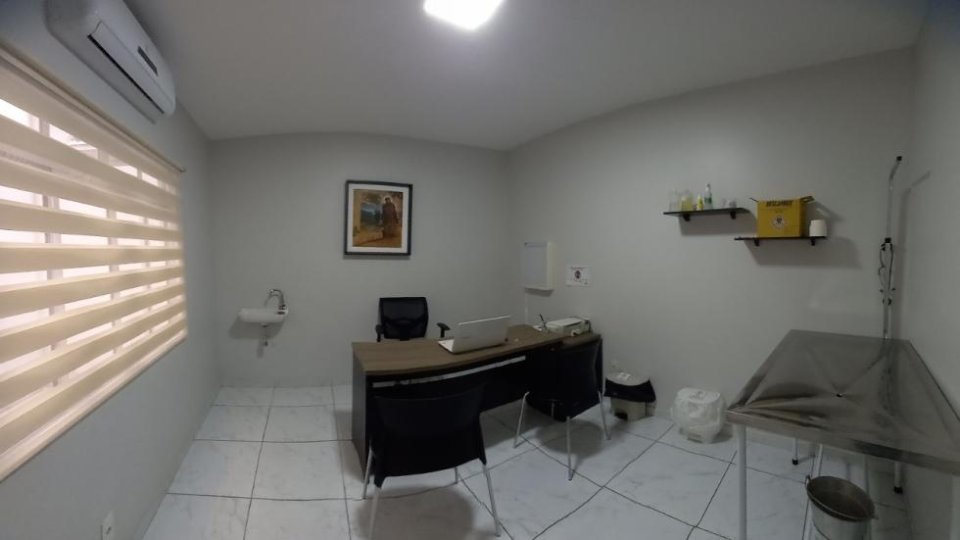 Vermifugação de cães e gatos em Taubaté: frequência, sinais e cuidados