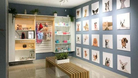 Quando procurar um veterinário em Taubaté especializado em cardiologia