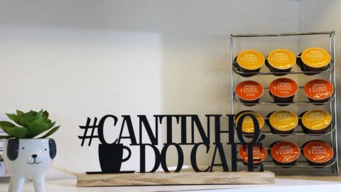 Veterinário para gatos em Taubaté: sinais, consulta e transporte