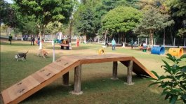 Melhores Lugares para Passear com o Seu Cão em Taubaté: Dicas de um Veterinário em Taubaté