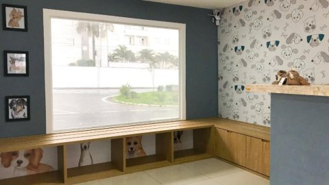 Veterinário em Taubaté: como escolher a clínica certa para seu cão ou gato